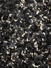 Gros plan sur la germination des graines de sésame noir — Photo de stock