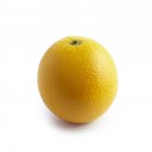 Vista de cerca de la fruta naranja sobre fondo blanco . - foto de stock