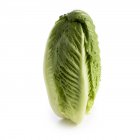 Romaine lettuce on white background. — Stock Photo