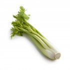 Close-up view of celery on white background. — Stock Photo