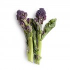 Vista ravvicinata dei broccoli su fondo bianco . — Foto stock