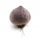 Close-up view of beetroot on white background. — Stock Photo