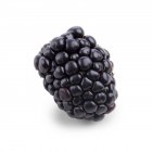 Close-up view of blackberry on white background. — Stock Photo