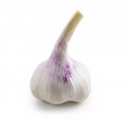 Bulb of garlic on white background. — Stock Photo