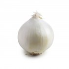Close-up view of onion on white background. — Stock Photo