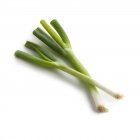 Spring onions on white background. — Stock Photo