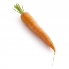 Vista ravvicinata della carota su sfondo bianco . — Foto stock
