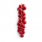 Close-up view of redcurrant berries on white background. — Stock Photo