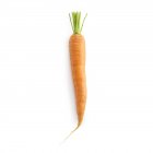 Vue rapprochée de la carotte sur fond blanc . — Photo de stock