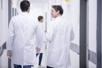 Male doctors walking in corridor. — Stock Photo