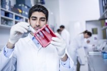 Male laboratory assistant holding test tube rack. — Stock Photo