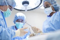 Nurse passing surgical scissors to surgeon during operation. — Stock Photo