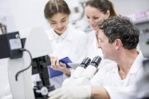 Scientists working in laboratory with microscope. — Stock Photo