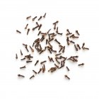 Dried cloves on white background. — Stock Photo