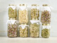 Sprouting beans in jars on shelf. — Stock Photo