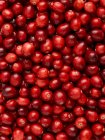 Vista de close-up de cranberries vermelhas, quadro completo . — Fotografia de Stock