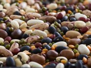 Close-up view of mixed variety of beans. — Stock Photo