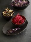 Sprießende Rote Beete, schwarze Bohnen und lila Kresse in schwarzen Schalen. — Stockfoto