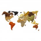 Spezie secche in forma di mappa del mondo, ripresa in studio . — Foto stock
