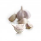 Garlic cloves and bulb on white background, studio shot. — Stock Photo