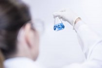 Asistente de laboratorio sosteniendo matraz químico con líquido azul . - foto de stock