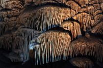 Corales de la cueva en la reserva natural de la cueva de la estalactita de Sorek en las colinas de Judean, Beit Shemesh, Israel . - foto de stock