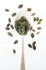 Pumpkin seeds on spoon, studio shot. — Stock Photo