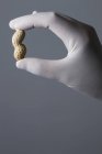 Mão na luva de látex segurando amendoim — Fotografia de Stock
