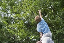 Vater trägt Sohn auf Schultern und Bub erreicht Bäume. — Stockfoto