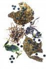 Seaweed tablets and seaweed plants, studio shot. — Stock Photo