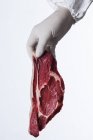 Hand in latex glove holding raw meat — Stock Photo