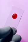Рука вченого, що тримає зразок краплі крові на слайді мікроскопа, студійний знімок . — стокове фото
