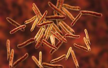 Illustrazione digitale dei batteri gram-positivi della tubercolosi del micobatterio a forma di bacchetta
. — Foto stock