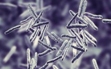 Ilustração digital de bactérias gram-positivas em forma de bastonete mycobacterium tuberculosis
. — Fotografia de Stock