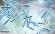Illustration numérique des bactéries mycobactériennes tuberculeuses en forme de bâtonnets gram-positives
. — Photo de stock