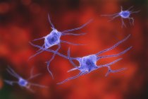 Digital illustration of nerve neurons cells. — Stock Photo