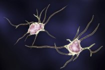 Ilustración digital de neuronas nerviosas células . - foto de stock