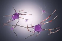 Illustration numérique des cellules des neurones nerveux . — Photo de stock