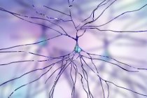 Цифрова ілюстрація клітини нервового нейрона . — стокове фото