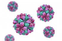 Digital illustration of Norovirus genus of RNA virus. — Stock Photo