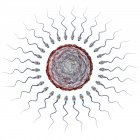 Яичные клетки человека в окружении многочисленных сперматозоидов, цифровая иллюстрация оплодотворения
. — стоковое фото