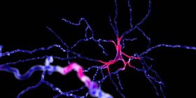 Dopaminergic клітини мозку нейрона, цифрова ілюстрація. — стокове фото