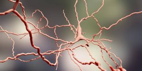 Дофаминергические нейроны мозга, цифровая иллюстрация . — стоковое фото
