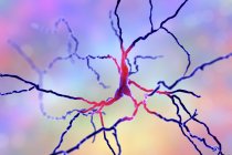 Células cerebrais do neurônio dopaminérgico, ilustração digital . — Fotografia de Stock