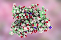 Молекулярная модель фолликулостимулирующего гормона . — стоковое фото