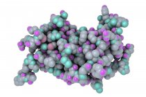 Digitales Modell von Molekülen des Wachstumshormons Somatotropin. — Stockfoto