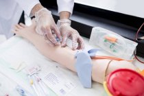 Doctor inserting IV line in training dummy. — Stock Photo