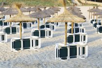 Tumbonas y sombrillas en la playa de arena . - foto de stock