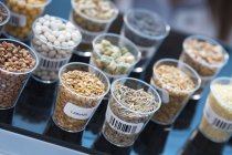 Семена и крупы в лаборатории безопасности пищевых продуктов . — стоковое фото