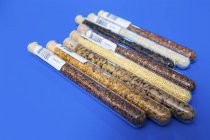 Food samples in test tubes on blue background. — Stock Photo
